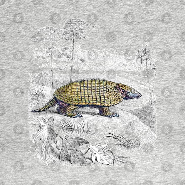 Armadillo (Victorian Painting) by Bugsponge